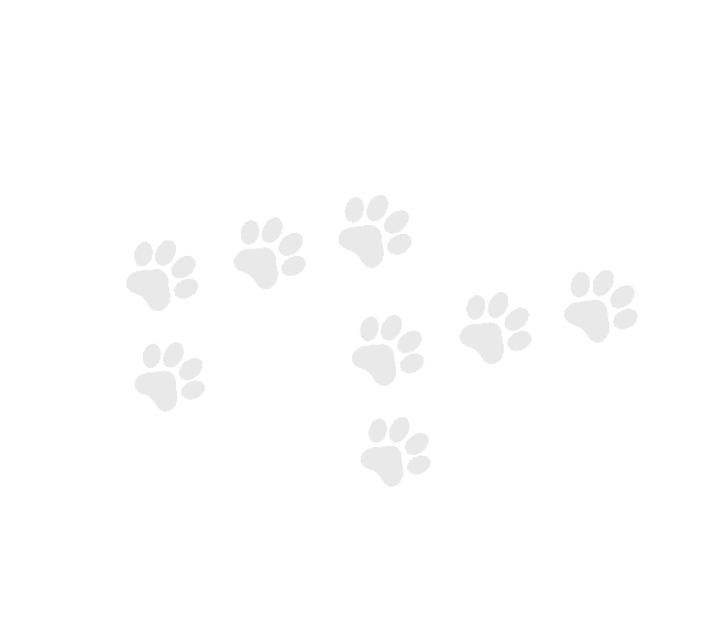 paws